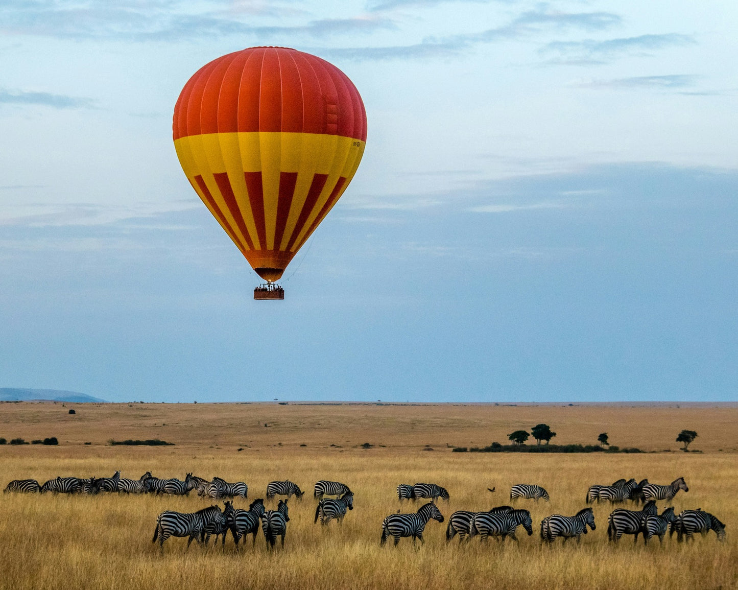 Africa