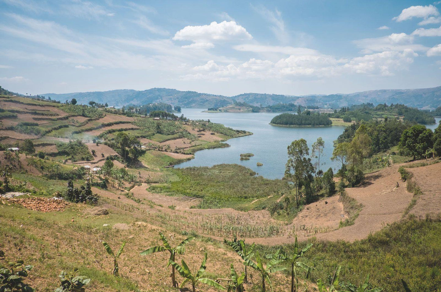 Rwanda - Tripsim by SYD