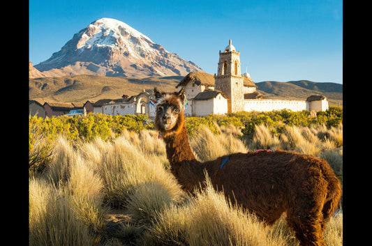 Bolivia