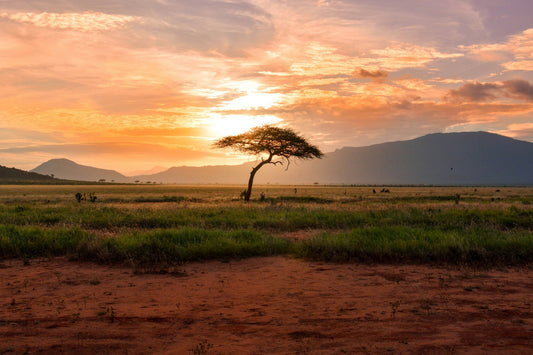 Kenya